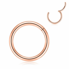 1PC Surgical Steel Hinged Nose Rings Hoop Ring Sleeper Lip Ear Nose Body Piercin